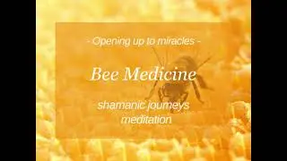 Bee Medicine - Guided Shamanic Journey