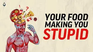 Is your food making you stupid?