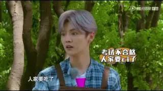 哈哈哈，鹿晗被狗遛到满场乱跑，笑喷了！