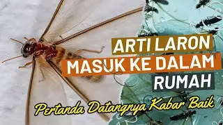 Arti Laron Masuk Rumah Menurut Primbon Jawa & Menurut Islam, Pertanda Datangnya Kabar Baik