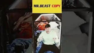 Mr beast copy