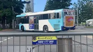 Buses at Sydney Olympic Park | Sydney Royal Easter Show Buses
