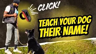 How to Teach Your Dog Their Name and Recall Using a Clicker