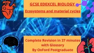 GCSE EDEXCEL biology  Ecosystems and material cycles Complete Revision Summary 37 minutes