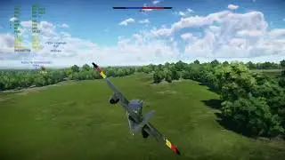 Wt42