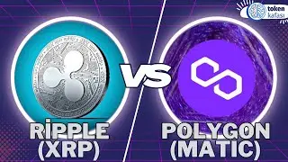 Hangisi daha iyi? Ripple mı, Polygon mu?