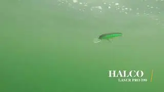 How Lures Swim: Halco Laser Pro 190