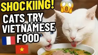 The Internet Can&rsquo;t Handle These French Cats Eating Vietnamese Street Food