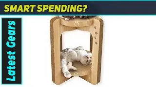 reviewNecoichi Cat Scratcher: The Ultimate Lounge?