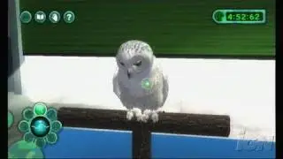 Zoo Hospital Nintendo Wii Gameplay - Tapir with Lice