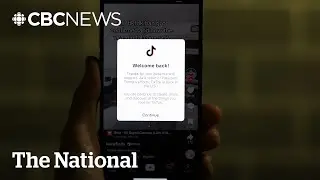 TikTok is back in the U.S. after brief shutdown