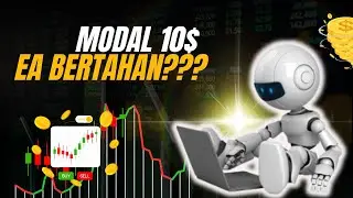 Tes EA Robot Forex Modal $10 – Bisa Bertahan atau Tidak?