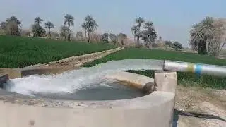 20HP motor 6 inch delivery water level 15ft solar energy tubewell