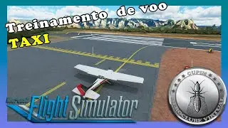 MICROSOFT FLIGHT SIMULATOR PARA INICIANTES (TAXI)
