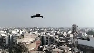 “Drone View = WOW 🤯🚁”