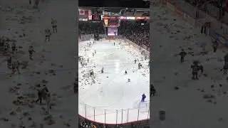 Arena Shorts: Halifax Mooseheads teddy bear toss game 2018