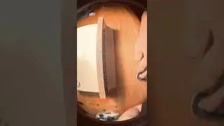 First short ! Sub to the channel for more fingerboard content