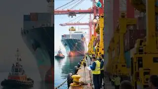 Dockside Disaster: Crane Topples onto Container Ship