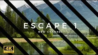 The Beauty of Nature: A Relaxing Visual and Auditory Experience