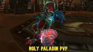 Why I'm the Holy Paladin Master