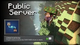 🔴 Linked Inventory SMP (Bedrock) #1 [01/30/2026]