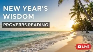 🔴 Live: Book of Proverbs &bull; Relaxing Audio Bible for Sleep & Meditation(KJV)