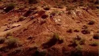 Lights Out Asia - Ghost Identifier (Best of Freeride Downhill - MTB)