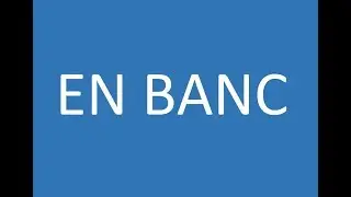 Что означает юридический термин &laquo;En Banc&raquo;?
