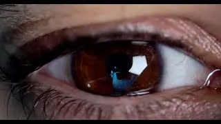 Moon Culture - True Vision