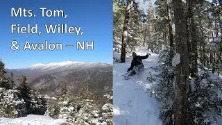 Easy Hike for 3 4k Summits in One Day | Mt. Tom, Field, Willey, & Avalon - NH