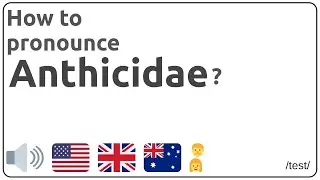 How to pronounce Anthicidae in english?