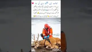 Unbelievable🤯 Animal Rescue in Flood Waters #animalrescue #naturefacts #nature #wildlife #shorts