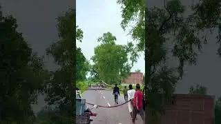 Dry tree cutting on NH 931A / Saved Millions of Trees 🌳 By Indian&rsquo;s Government - 2025