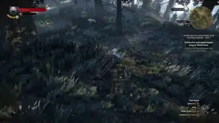 The Witcher 3 PS4 Pro Gameplay #1