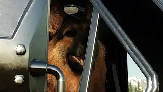K-9 UNIT Companion TLX1982 Sheriff DO YOU KNOW (Ep #6) Farming Simulator 22
