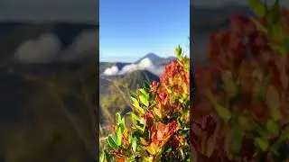 Sunrise Mount Bromo Indonesia