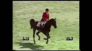 Jos Lansink - Libero H - Stockholm 1990