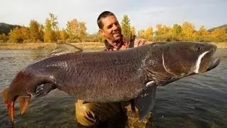 Truchas gigante del mundo