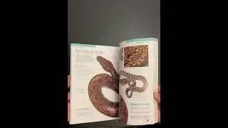 Book: SNAKE the essential visual guide / by Chris Mattison