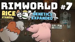 МОИ ПЕРВЫЕ ГИБРИДЫ 🍚 RIMWORLD RICE STANDART + GENETICS EXPANDED