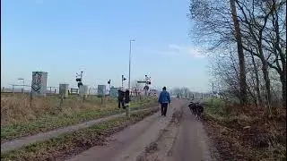 Arriva GTW is op weg naar het station van Winterswijk West #train #trainspotting 