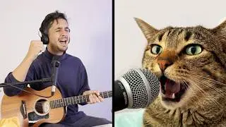 The Kiffness - Serafino (Singing Cat Song)