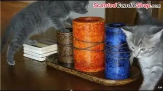 Candle Burning Safety Tips