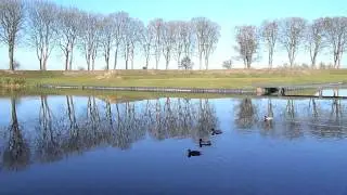 Vestingwerken Stevensweert