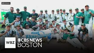 North Reading baseball wins state title after teammate finishes brain tumor treatment
