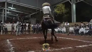 2DA ETAPA DEL CIRCUITO MEXICANO CATEGORIA PRO