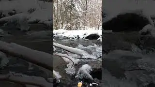 Instantly Get Rid of Anxiety| Stream and Water Sounds|Calming Winter