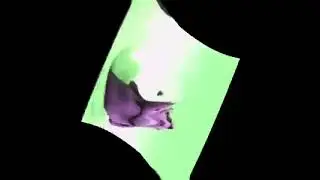 (MOST VIEWED VIDEO) In the Jungle, the mighty jungle... Center Effects Exo^2