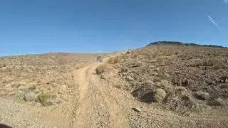 A bit of trail on the Southern Nevada Poker Run
