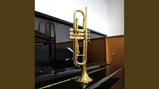 Solo - Trumpet Version
